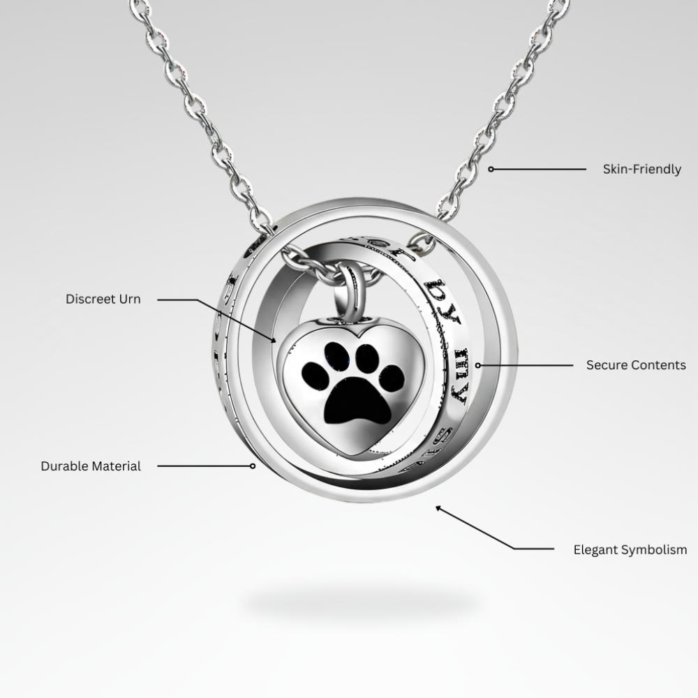 Evelyn – Stainless Steel Memorial Paw Urn Necklace