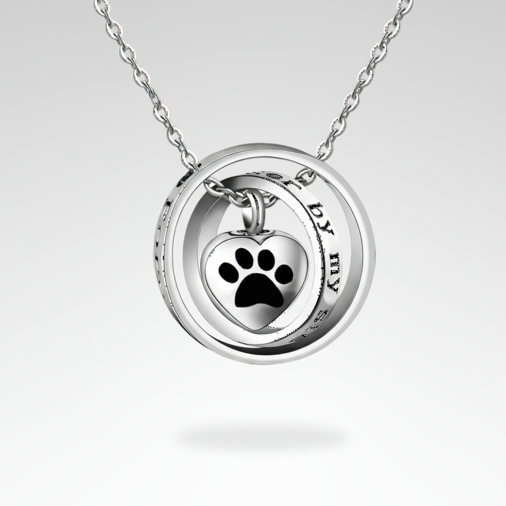 Evelyn – Stainless Steel Memorial Paw Urn Necklace